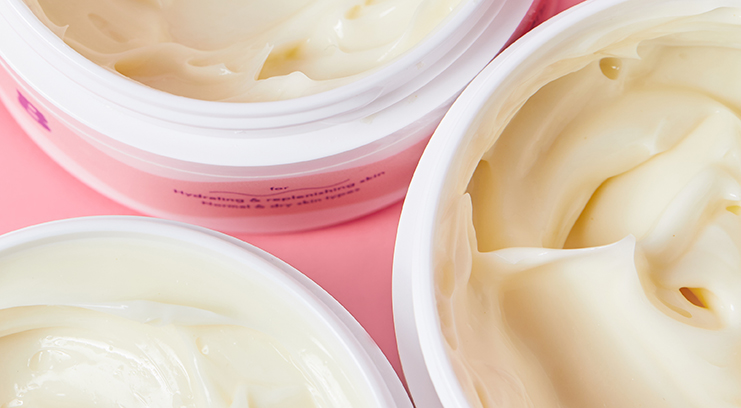 5 Things To Know About Prebiotics