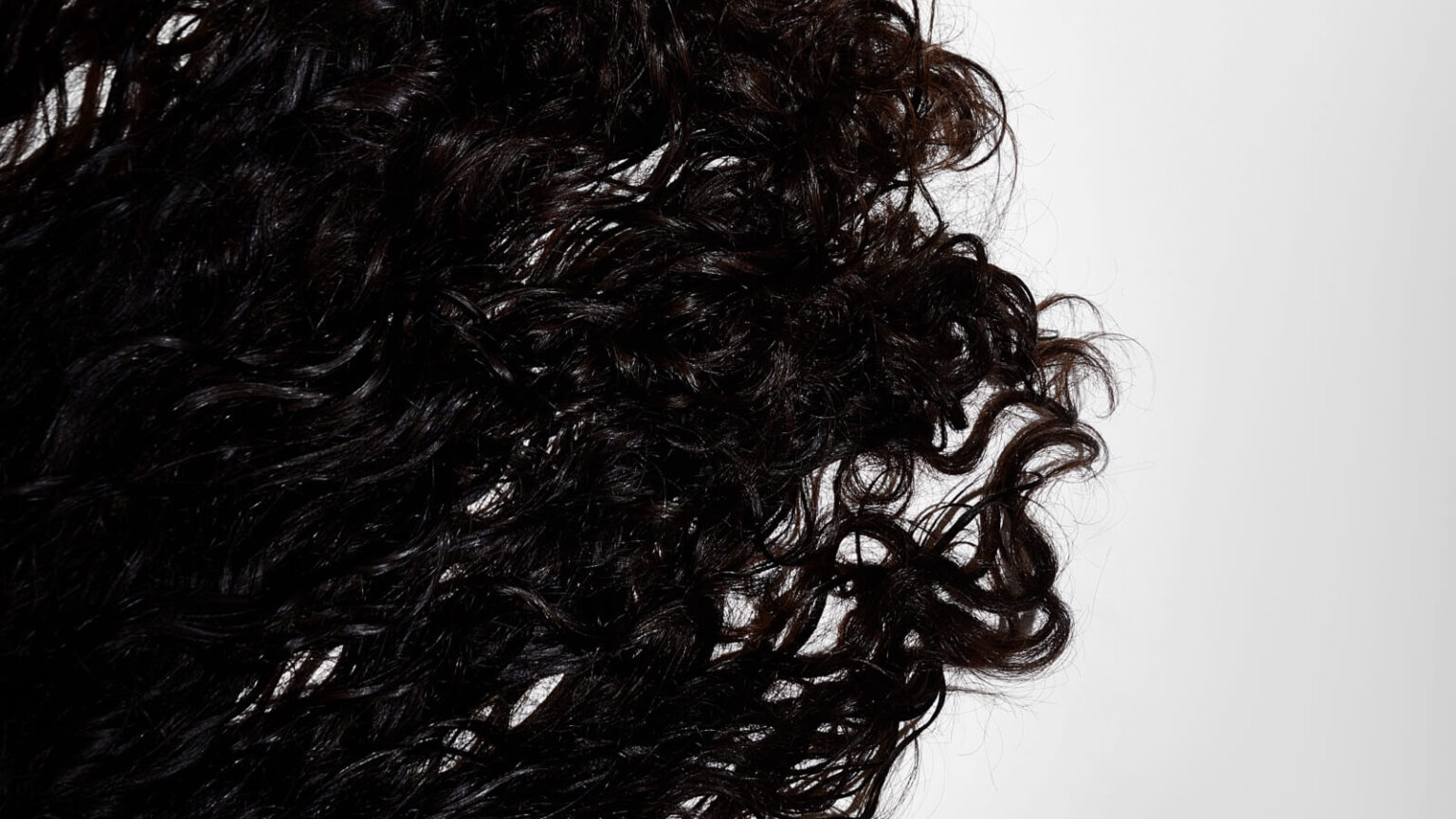 12 Best Shampoos For Curly Hair - Beauty Bay Edited