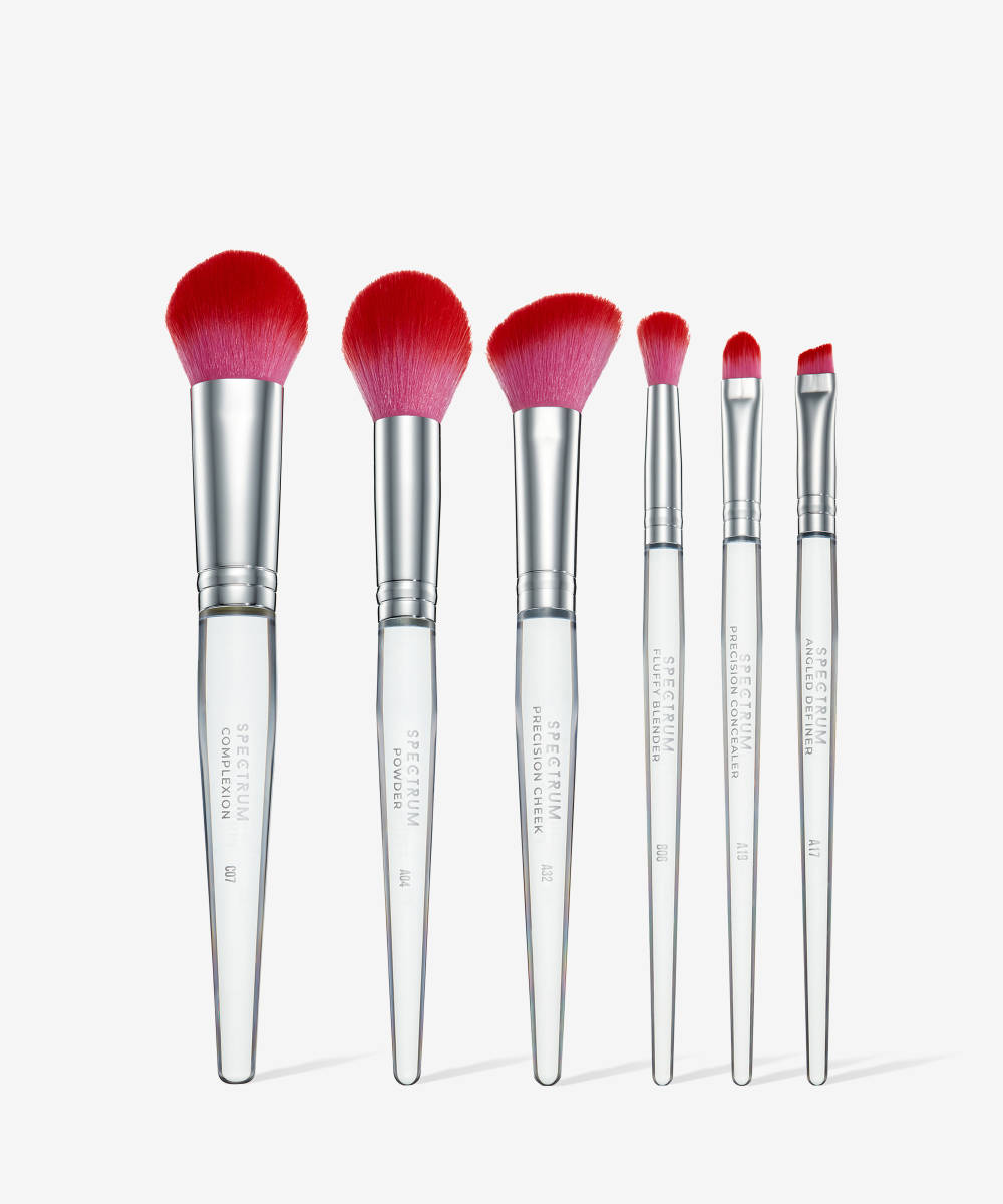 Spectrum Collections Brush Club 6 Piece Brush Set